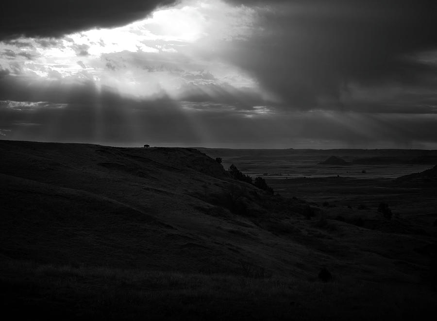 Lone Bison On Dramatic Landscape Photograph by Dan Sproul