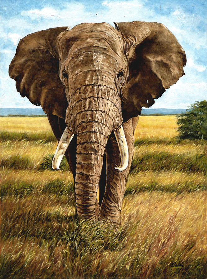 Lone Bull Eleophant Painting by Charles Berry