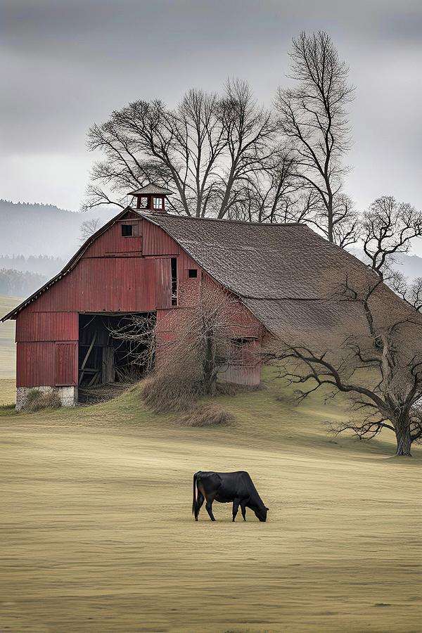 Lone Cow Lancaster Pennsylvania Farm Photograph by David Dehner