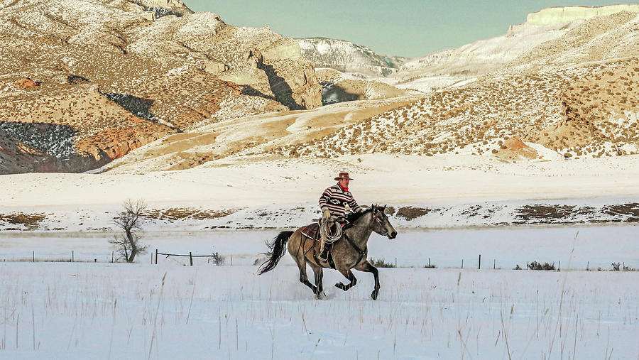 Lone Cowboy Gallops By Photograph