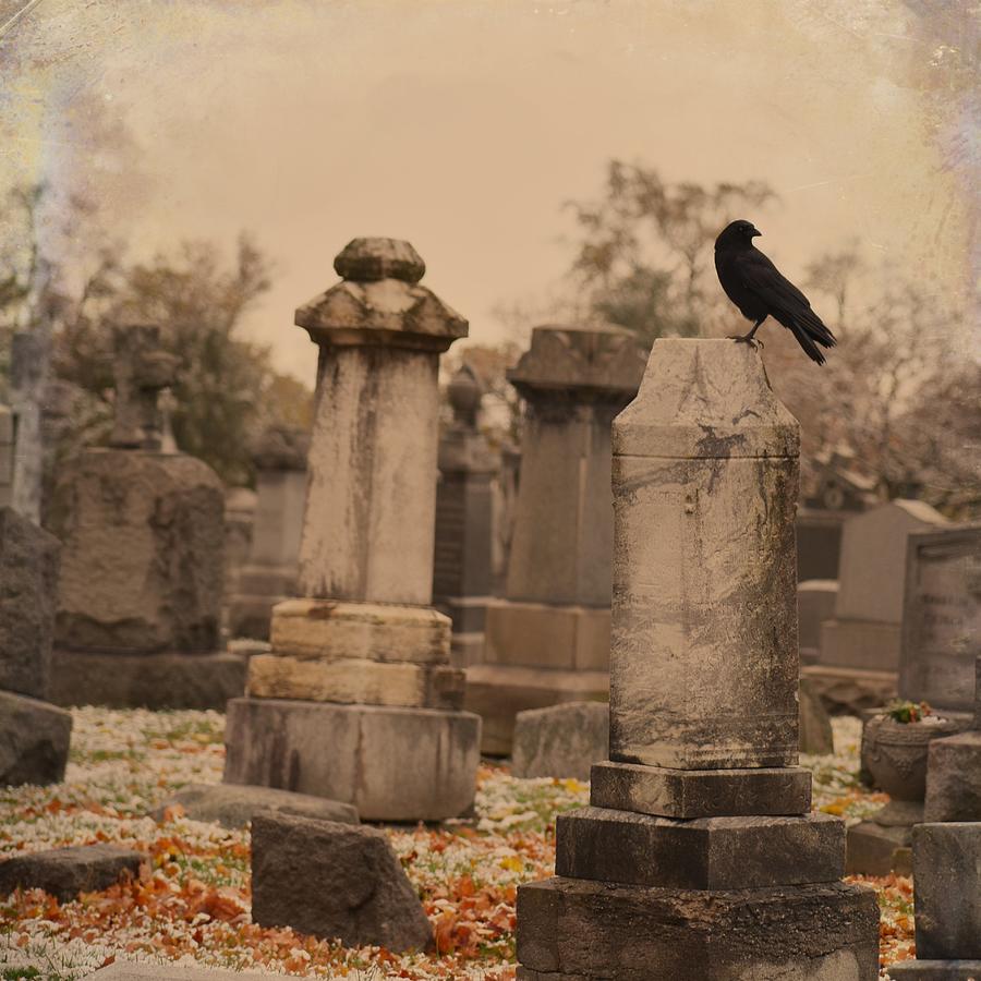 Lone Crow On A Tombstone Photograph by Gothicrow Images - Fine Art America