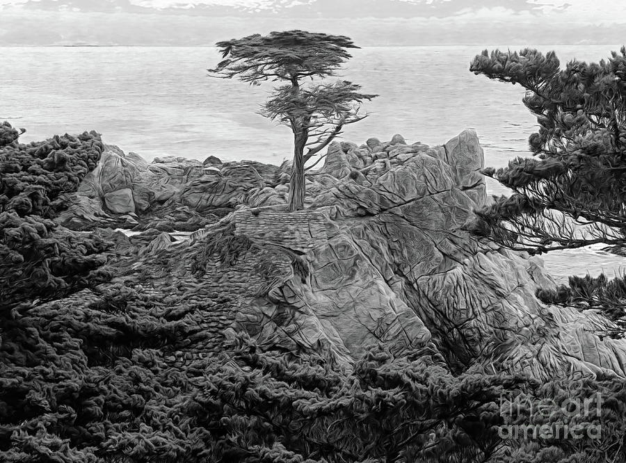 Lone Cypress Carmel BW Creative  Digital Art by Chuck Kuhn
