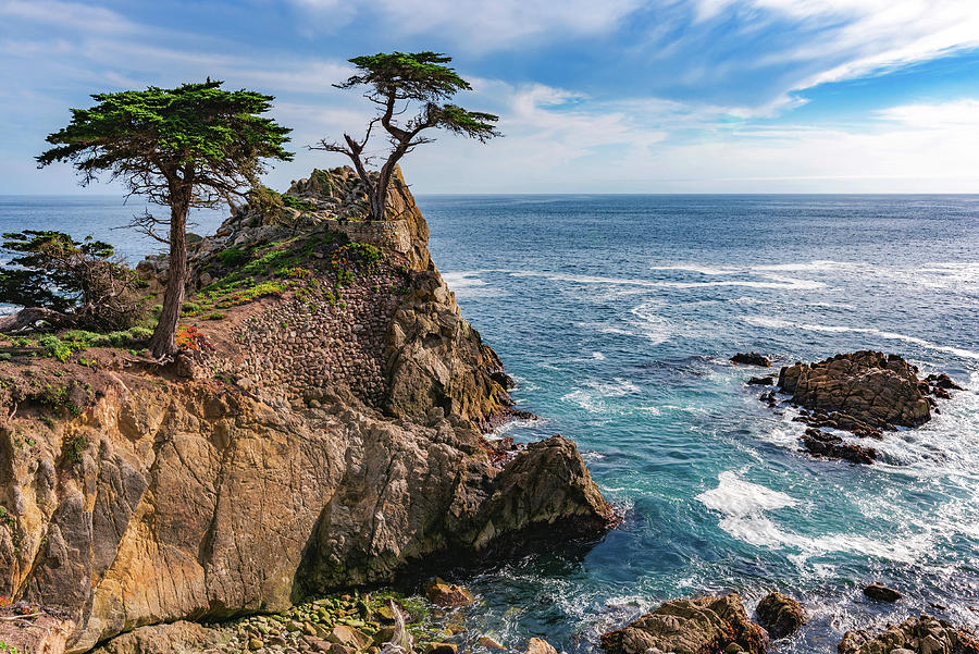 Lone Cypress Cove, Monterey, California Photograph by Abbie Matthews
