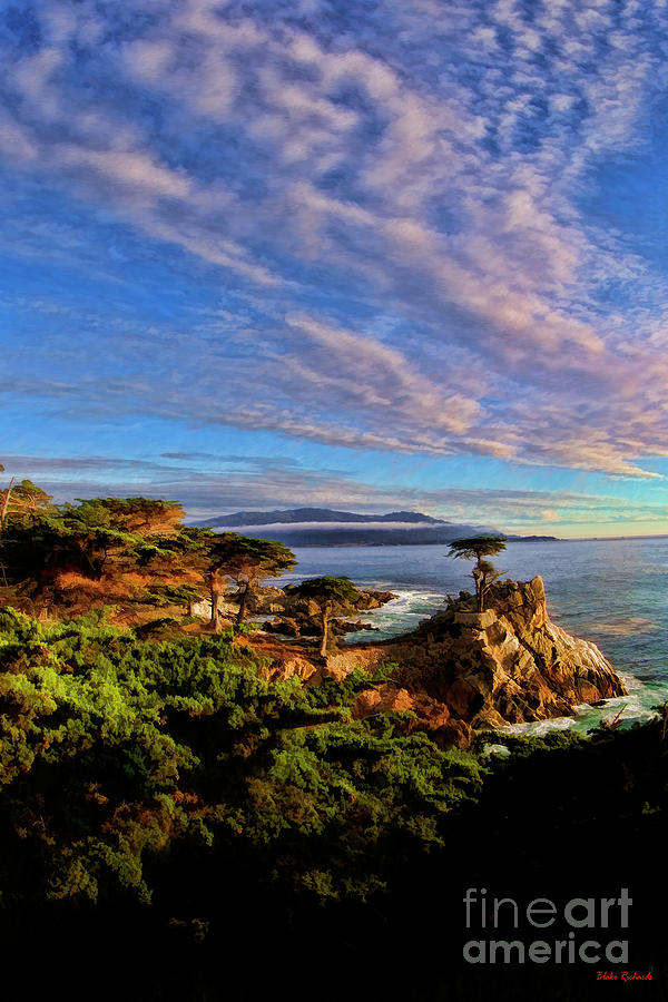 Lone Cypress is a Monterey Cypress Tree In Pebble Beach Photograph by Blake Richards