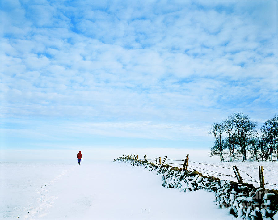 Lone figure in the snow, Parsley hay, Derbyshire, Peak District, England Photograph by Neale And Judith Clark