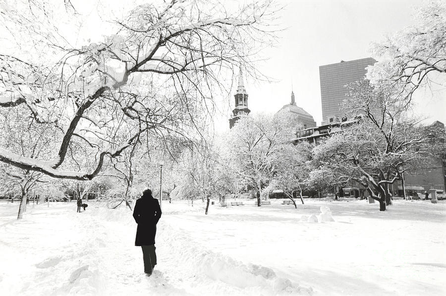 Lone Figure Walks Through Snow Filled Boston Public Garden. Photograph by Tom Wurl