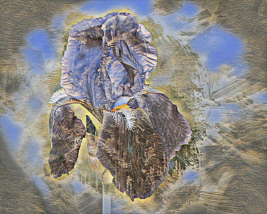 Lone iris painted effect Digital Art by Bob McDonnell