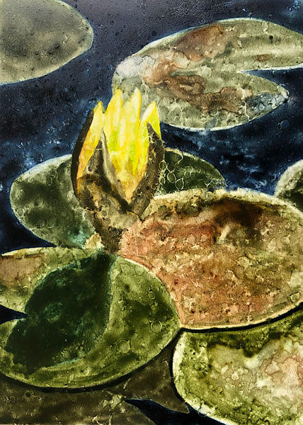 Lone Lily Painting by Nancy Goldman
