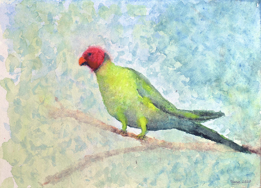 Lone lovebird Painting by Uma Krishnamoorthy