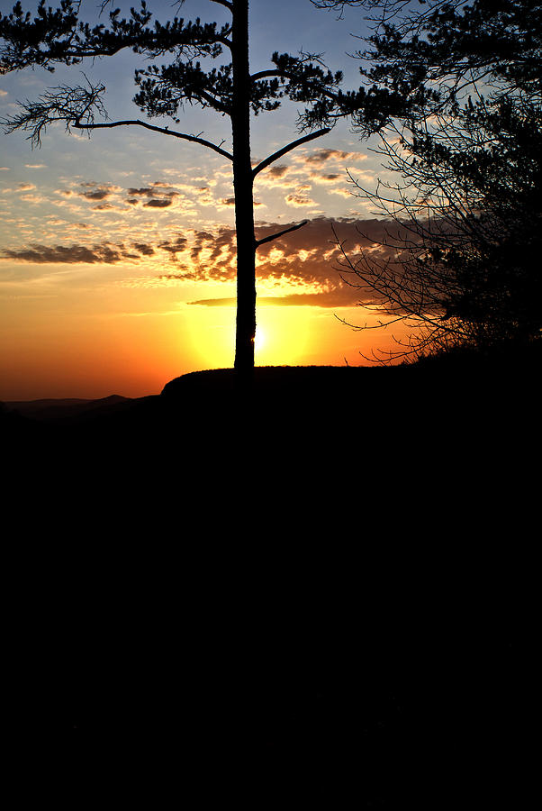 Lone pine sunset  Photograph by Douglas Barnett