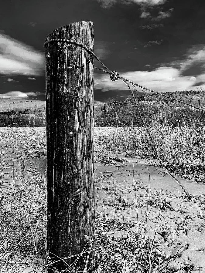 Lone Pole Photograph by Jim Feldman Lone Pole Photograph by Jim Feldman
