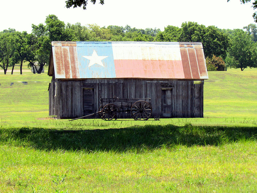 Lone Star Cabin Photograph by Amy Hosp - Fine Art America