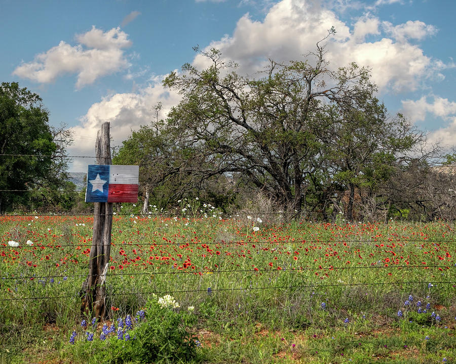 Lone Star Country 2  Photograph by Harriet Feagin