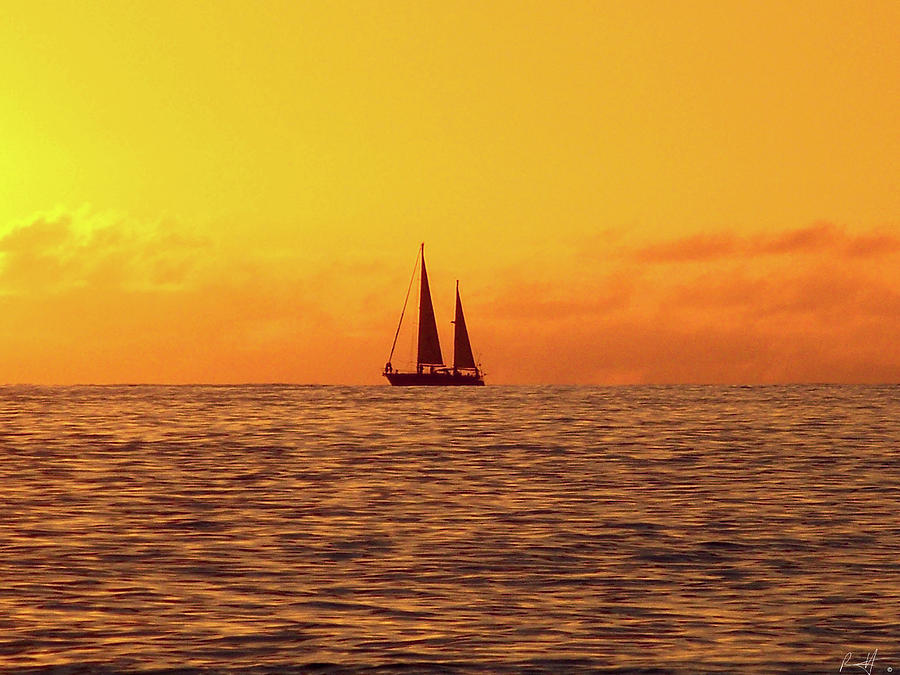 Lone Sunset Sail Photograph by Rick Harmon Shutterricky Photography Collections And Lone Sunset Sail Photograph by Rick Harmon Shutterricky Photography Collections And
