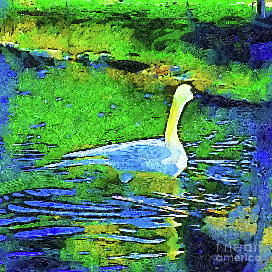 Lone Swan In Pond Digital Art by Kirt Tisdale