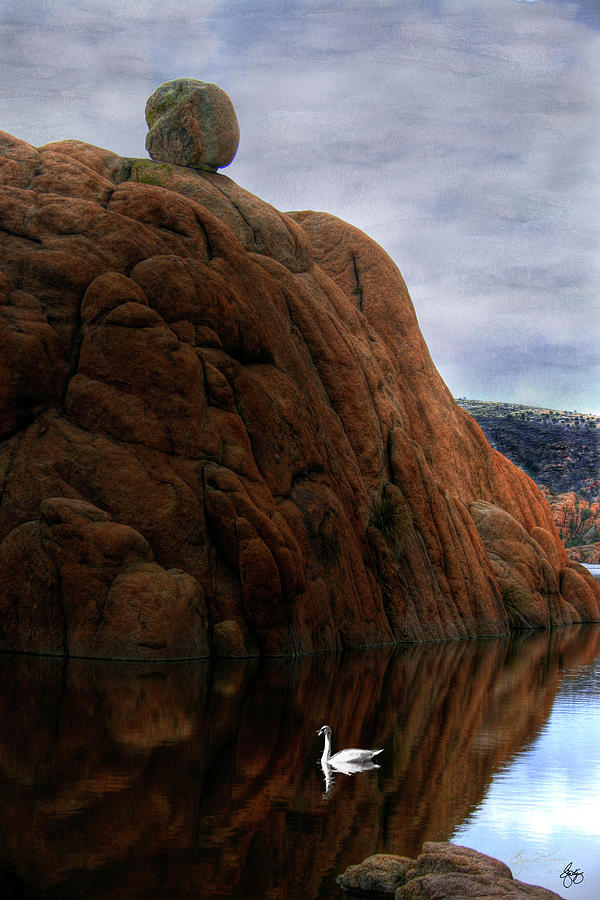 Lone Swan in the Arizona Dells Photograph by Wayne King