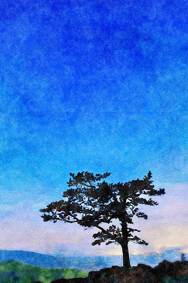 Lone Tree At Night Digital Art by Doug Ash