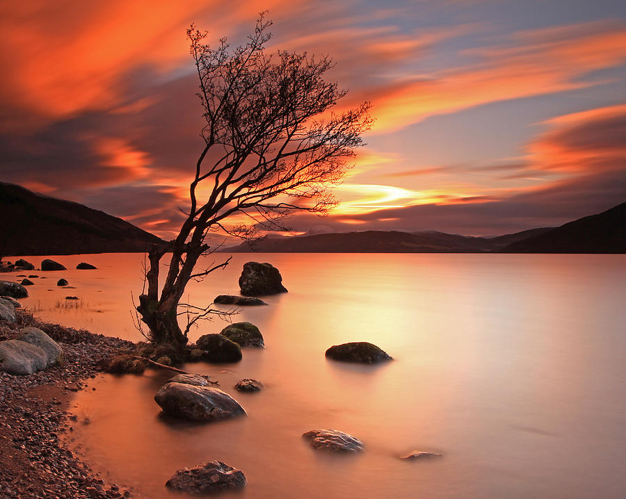 Lone Tree at  Sunset. Photograph by Gordie Broon Photography