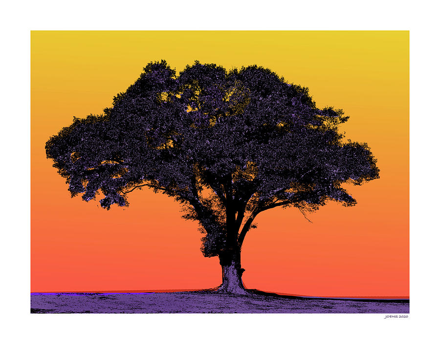 Lone Tree At Sunset Mixed Media by Greg Joens