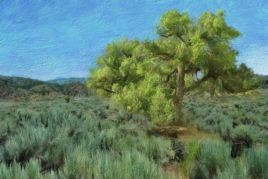 Lone Tree in High Grass Digital Art by Russ Harris