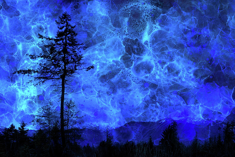 Lone Tree Night Landscape Digital Art by Peggy Collins