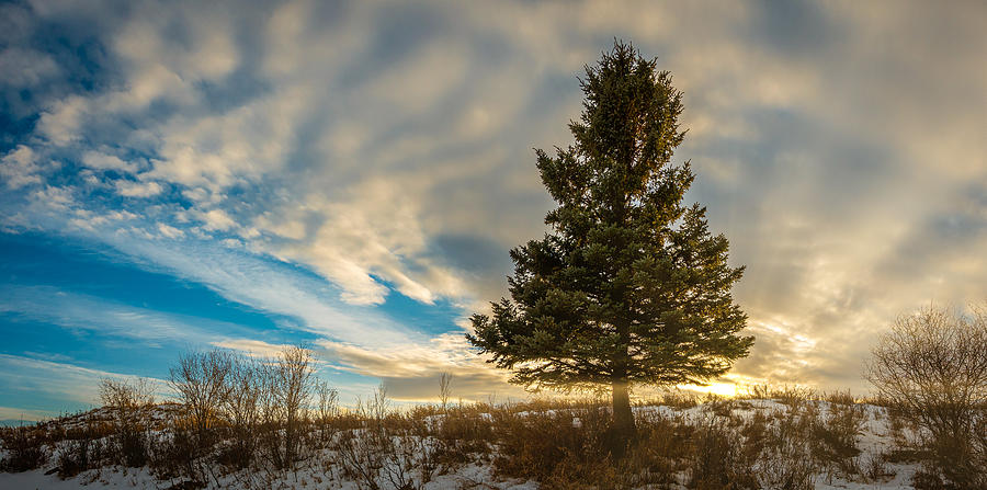 Sunset Photograph - Lone Tree Panorama by Phil And Karen Rispin