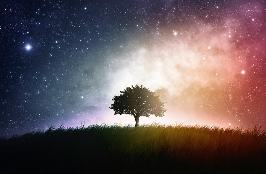 Lone tree silhouette in grassy field with space background Photograph by Kevron2001