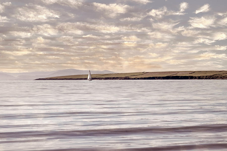 Lone White Sailboat in Ireland in Neutral Vintage Tones Photograph by Debra and Dave Vanderlaan