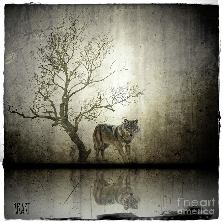 Lone wolf by lake in winter Mixed Media by Kira Bodensted