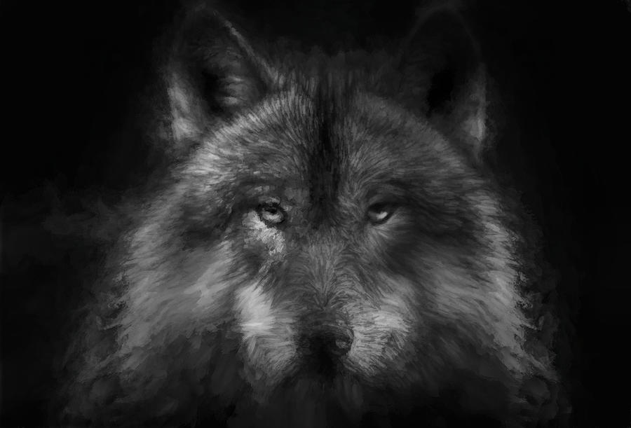 Lone Wolf Digital Art by Matt Hutchings - Fine Art America