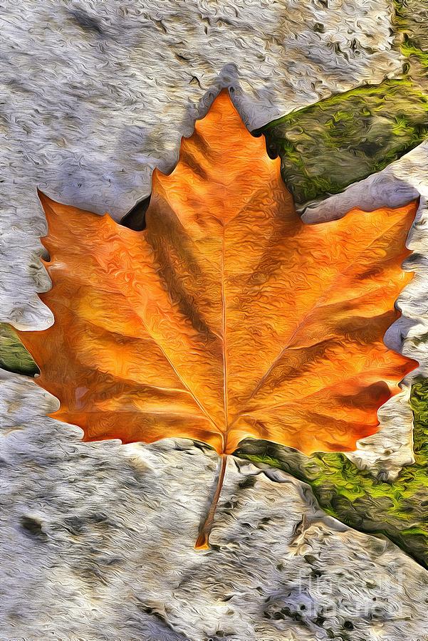 Lonely Autumn leaf Painting by George Atsametakis