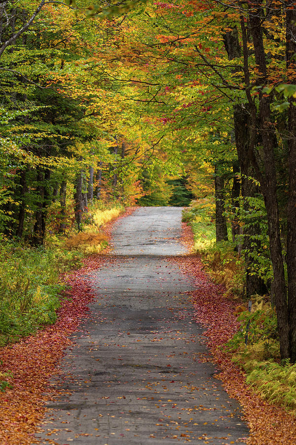 Lonely Autumn Road Photograph by White Mountain Images
