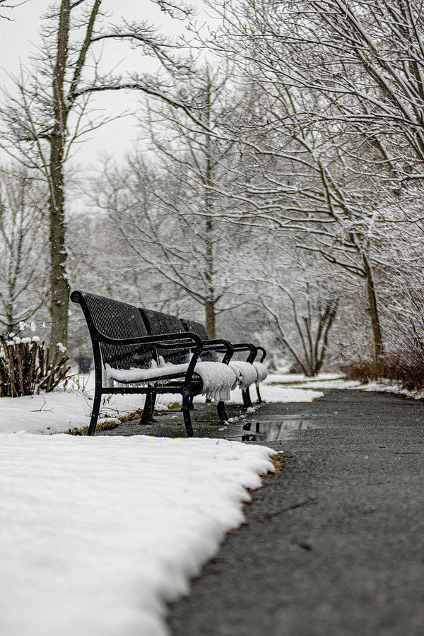 Lonely Bench Photograph by Daniel Yablonsky - Fine Art America