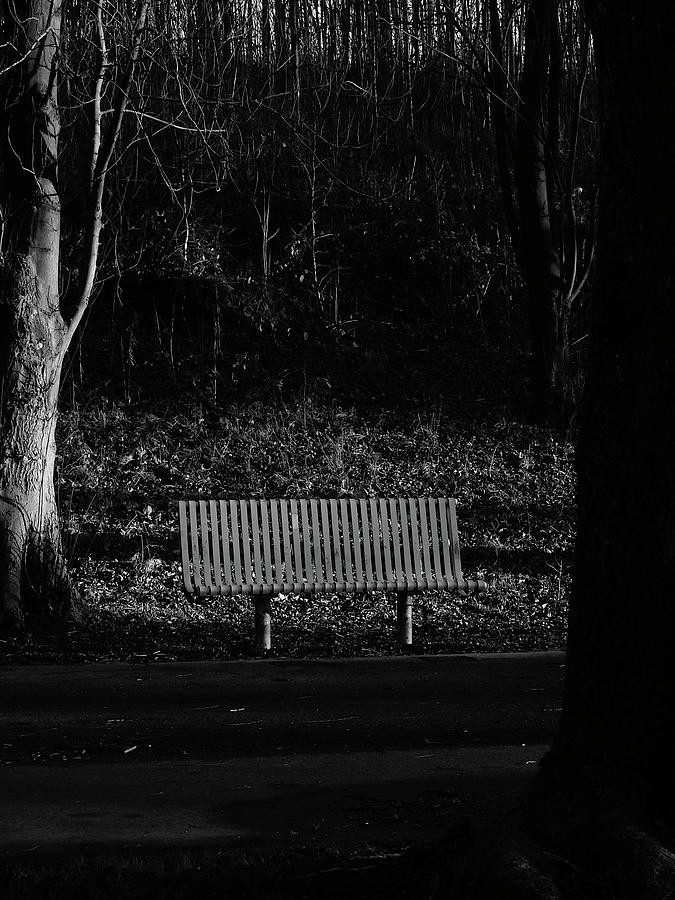 Sunlight Photograph - Lonely bench by David Gallie Sunlight Photograph - Lonely bench by David Gallie