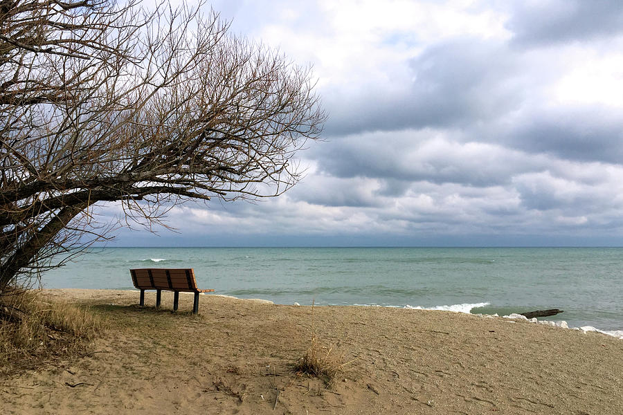 Lonely Bench Photograph by Patty Colabuono