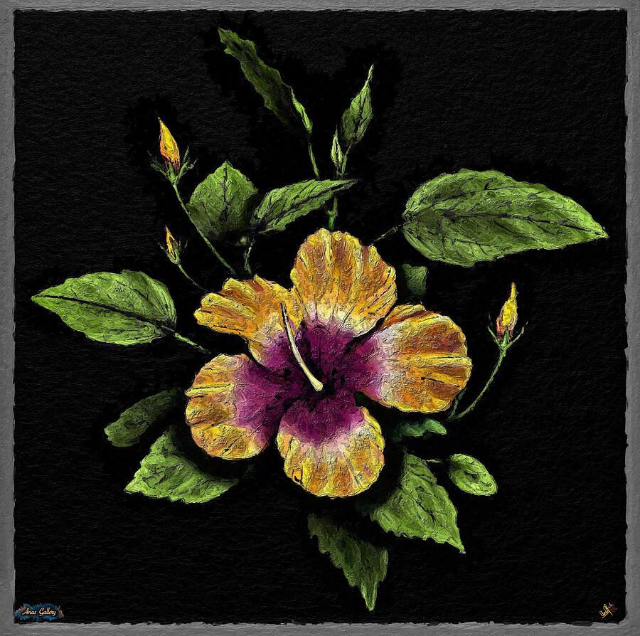 Lonely Hibiscus on Black Background Mixed Media by Anas Afash