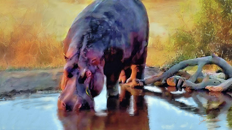 Lonely Hippo   Painting by Joel Smith