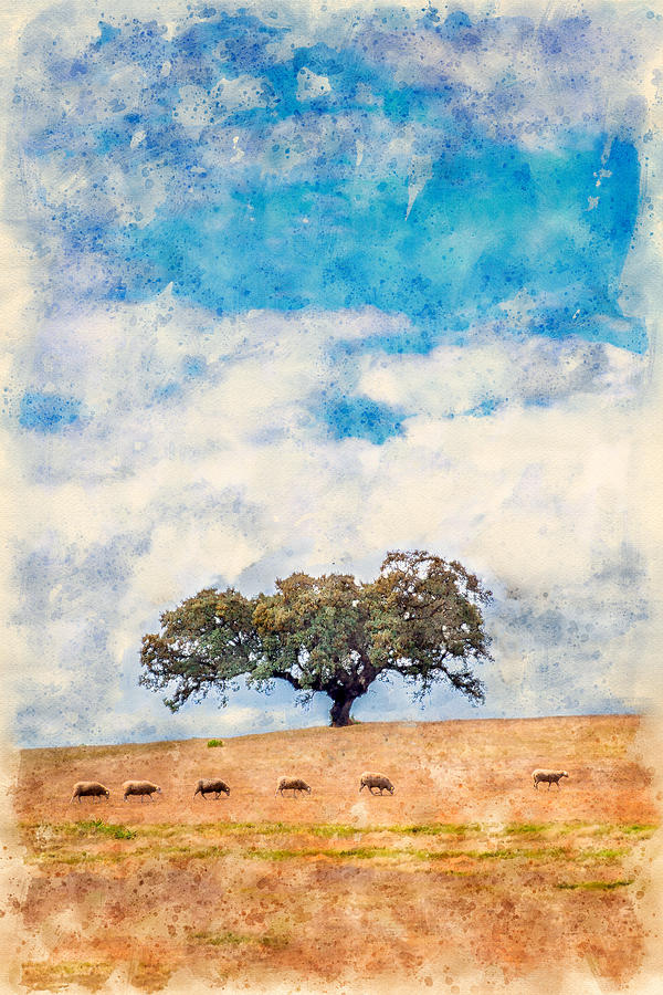 Lonely Holm Oak in Albuquerque Digital Art by Luis G Amor - Lugamor
