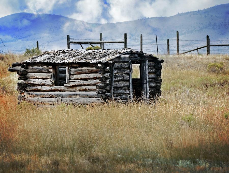 Lonely Homestead Photograph