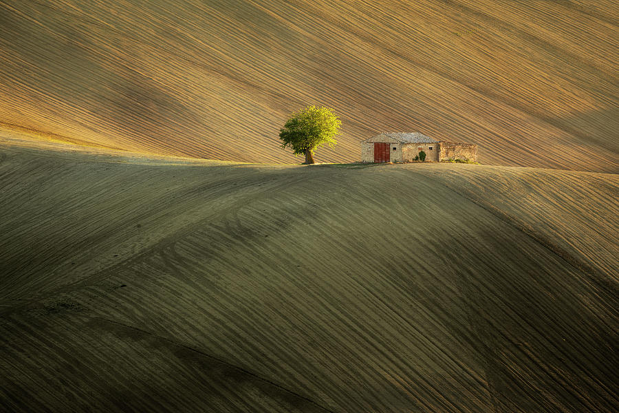 Lonely hut Photograph by Piotr Skrzypiec