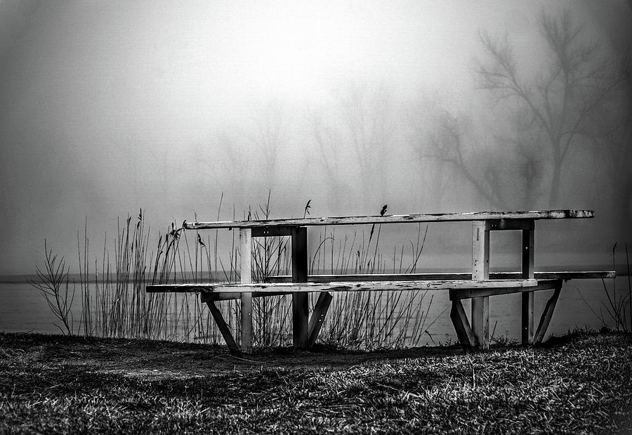 Park Photograph - Lonely by Kamie Stephen Park Photograph - Lonely by Kamie Stephen