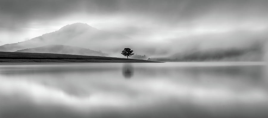 Lonely Photograph by Khanh Bui Phu