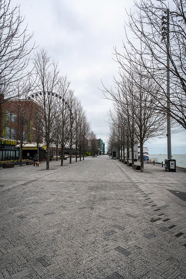Lonely Navy Pier with only a dog walker Photograph by Laura Hedien
