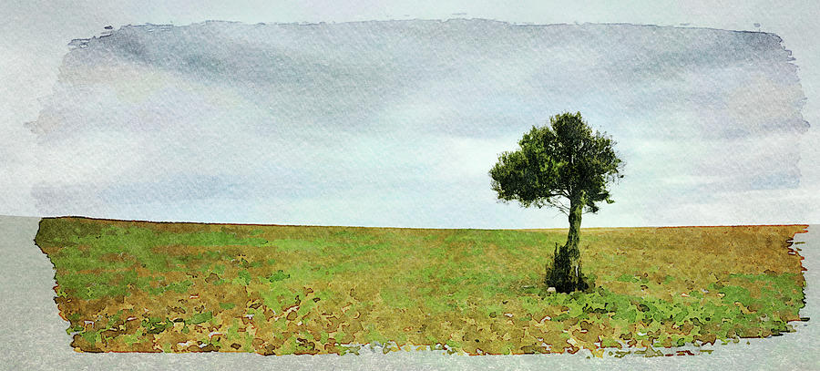 Lonely Olive tree with moving clouds Photograph by Michalakis Ppalis