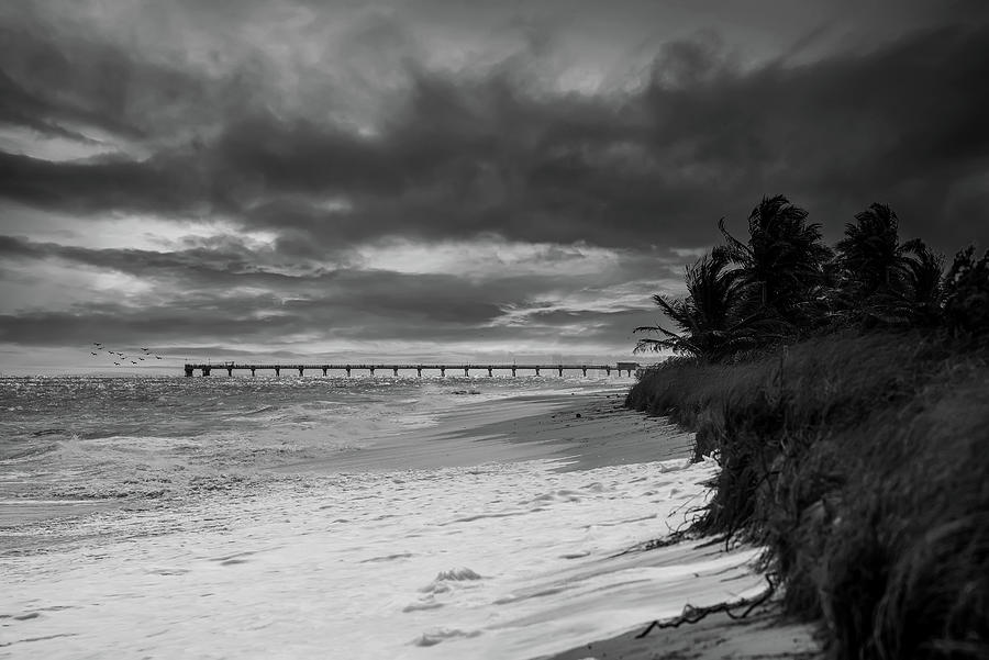 Lonely Pier in Black and White Photograph by Ed Taylor
