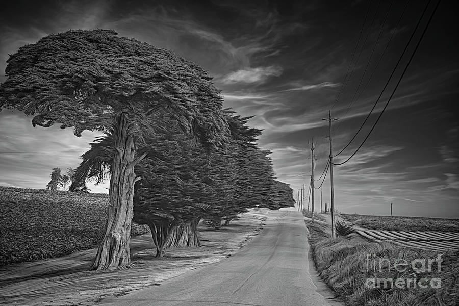 Lonely Road Northern California BW Digital  Digital Art by Chuck Kuhn