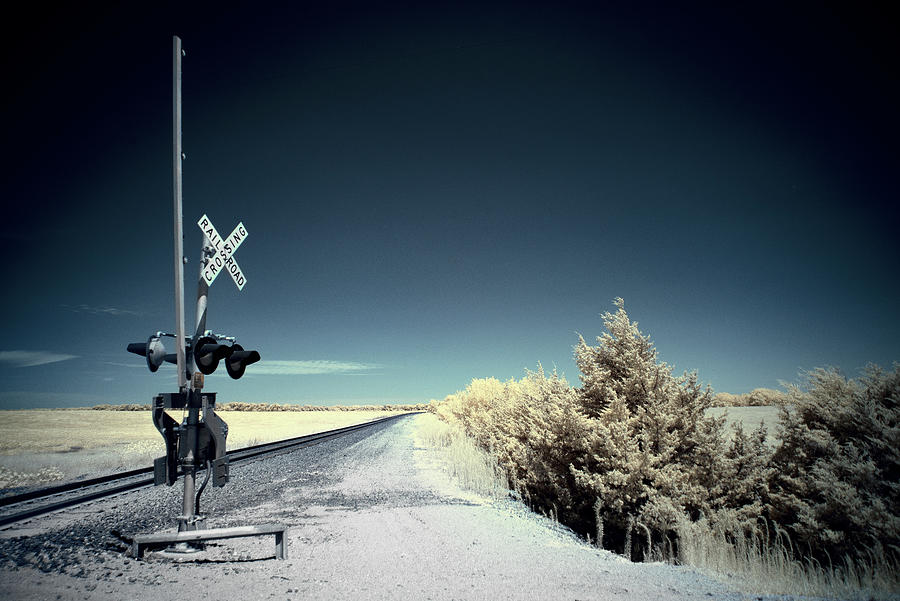 Lonely Signal Photograph by Brian Duram
