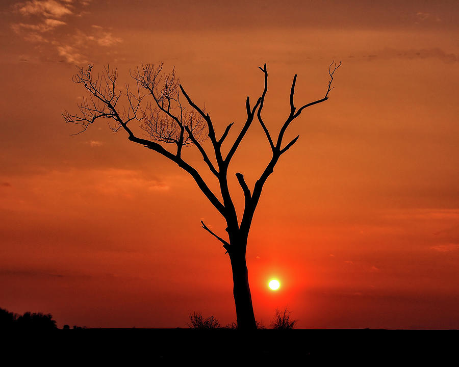 Lonely Sunset  Photograph by Scott Olsen