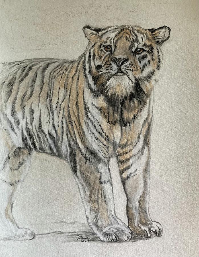 Lonely Tiger Painting by Maris Sherwood