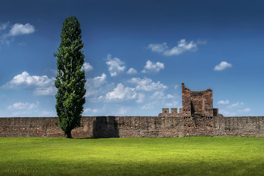 Lonely tree by the fortress walls Photograph by Dejan Travica Lonely tree by the fortress walls Photograph by Dejan Travica